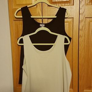 Chico's Brown size 3 and Christopher & Banks size XL Bundle